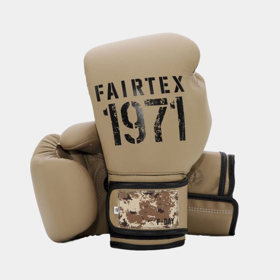 Fairtex F - Day 2 Boxing Gloves - Stone Fight Shop