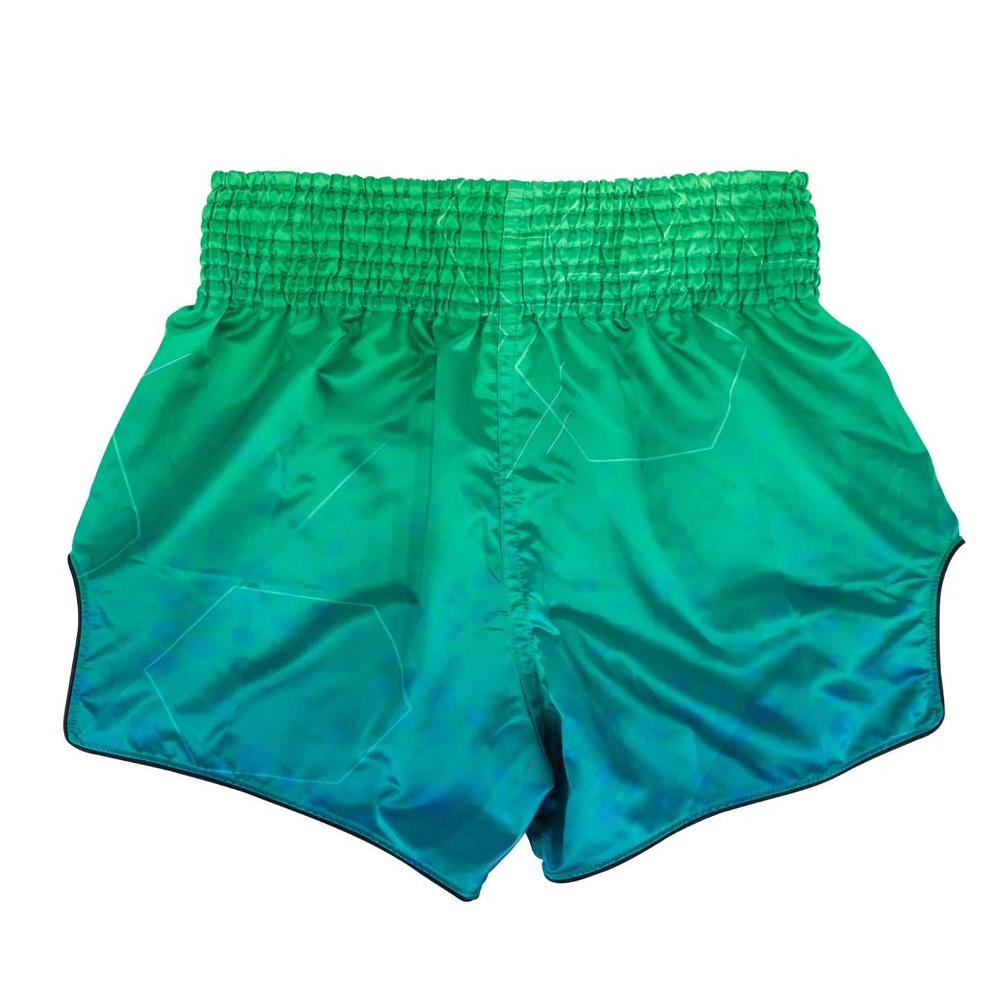 Fairtex Quantum Muay Thai Shorts - Stone Fight Shop