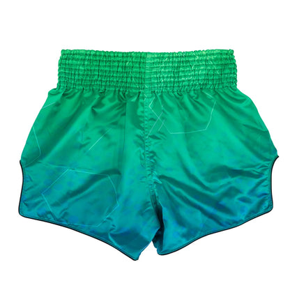 Fairtex Quantum Muay Thai Shorts - Stone Fight Shop