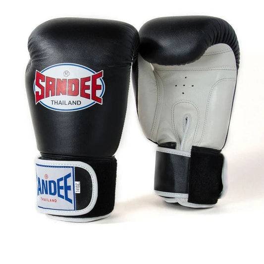 Sandee 10oz gloves on sale